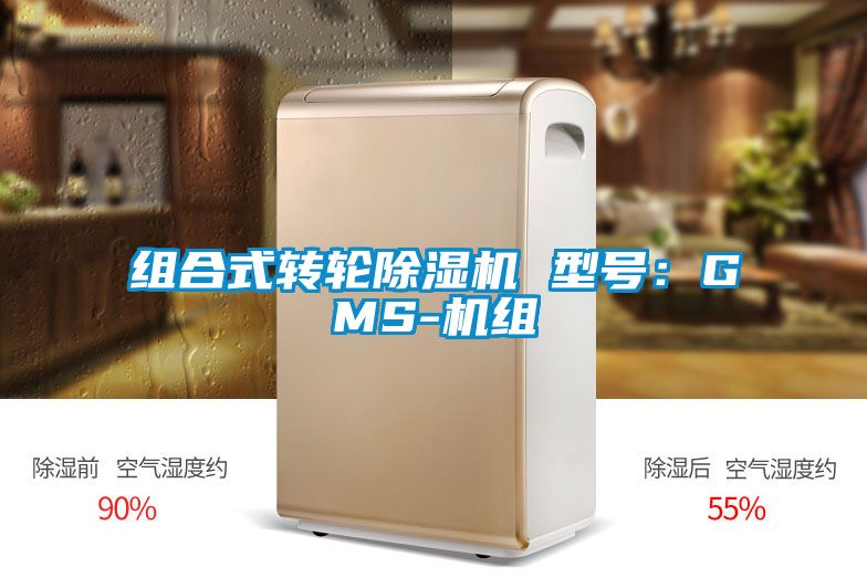 组合式转轮茄子视频懂你更多在线观看 型号：GMS-机组