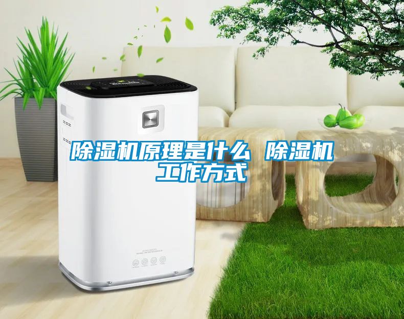 茄子视频懂你更多在线观看原理是什么 茄子视频懂你更多在线观看工作方式