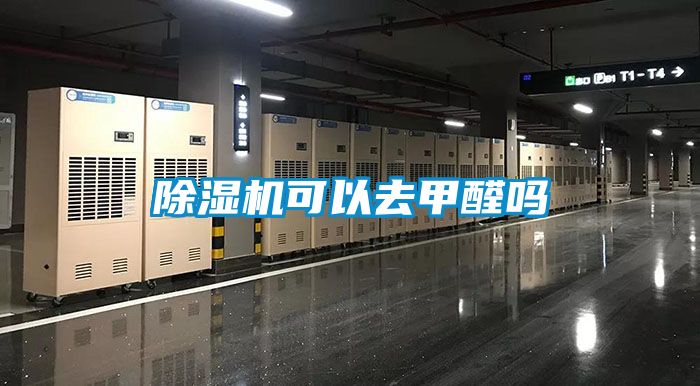 茄子视频懂你更多在线观看可以去甲醛吗