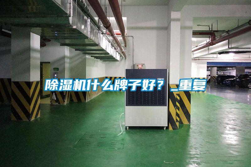 茄子视频懂你更多在线观看什么牌子好？_重复