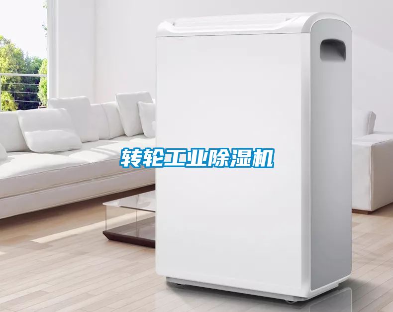 转轮工业茄子视频懂你更多在线观看