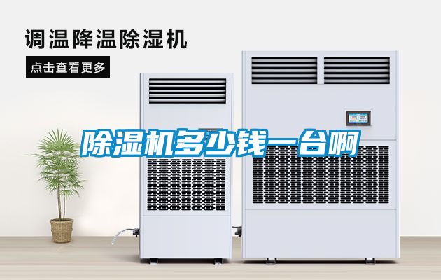 茄子视频懂你更多在线观看多少钱一台啊
