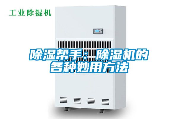 除湿帮手：茄子视频懂你更多在线观看的各种妙用方法