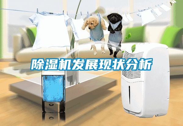 茄子视频懂你更多在线观看发展现状分析