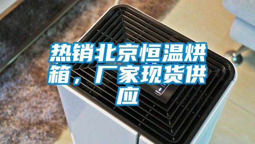 热销北京恒温烘箱，厂家现货供应