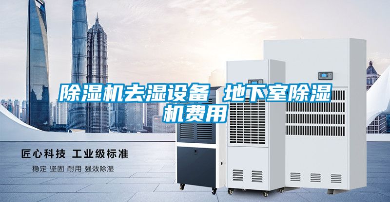 茄子视频懂你更多在线观看去湿设备 地下室茄子视频懂你更多在线观看费用