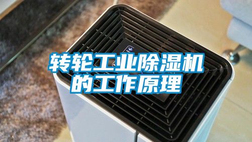 转轮工业茄子视频懂你更多在线观看的工作原理