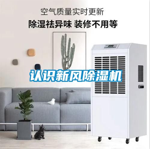 认识新风茄子视频懂你更多在线观看