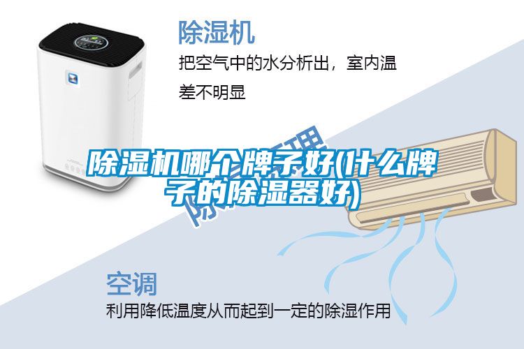 茄子视频懂你更多在线观看哪个牌子好(什么牌子的除湿器好)