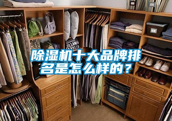 茄子视频懂你更多在线观看十大品牌排名是怎么样的？