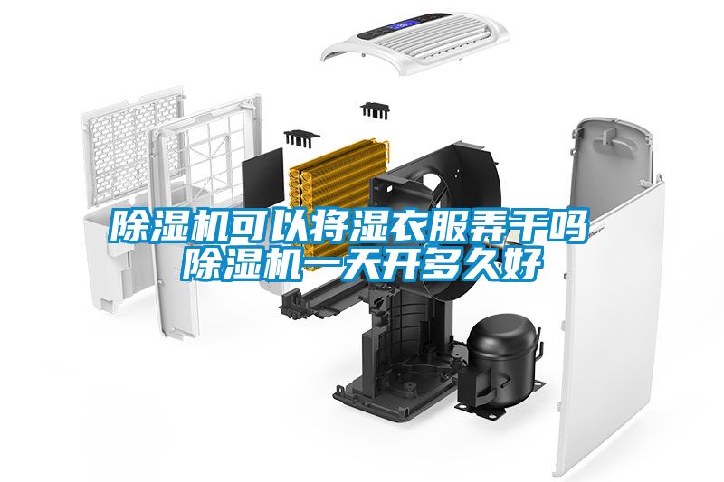 茄子视频懂你更多在线观看可以将湿衣服弄干吗 茄子视频懂你更多在线观看一天开多久好