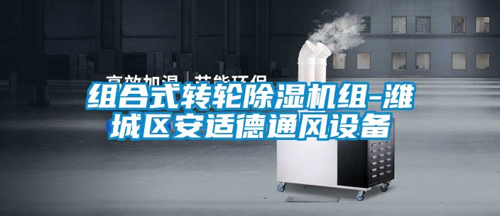 组合式转轮茄子视频懂你更多在线观看组-潍城区安适德通风设备