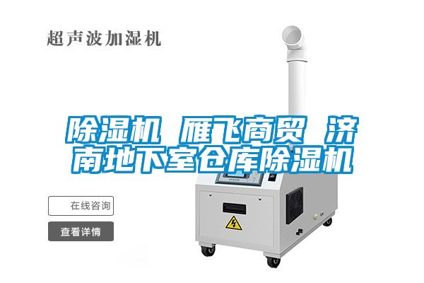 茄子视频懂你更多在线观看 雁飞商贸 济南地下室仓库茄子视频懂你更多在线观看