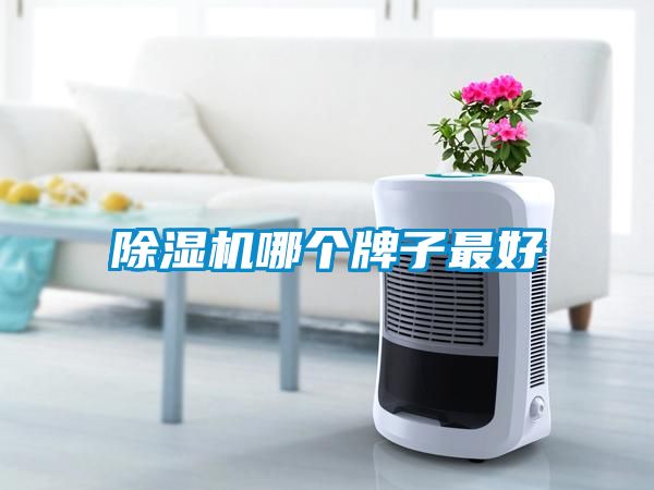 茄子视频懂你更多在线观看哪个牌子最好