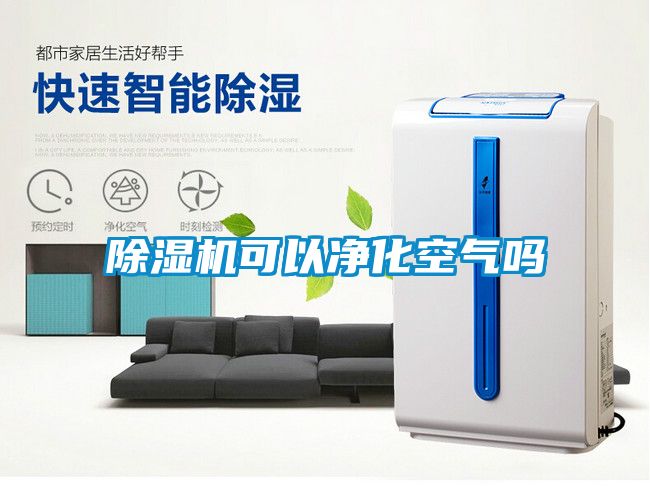 茄子视频懂你更多在线观看可以净化空气吗