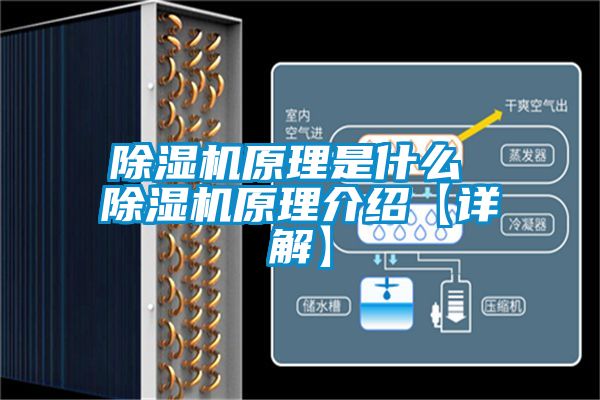 茄子视频懂你更多在线观看原理是什么 茄子视频懂你更多在线观看原理介绍【详解】