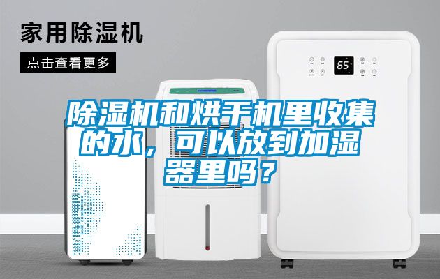 茄子视频懂你更多在线观看和烘干机里收集的水，可以放到加湿器里吗？
