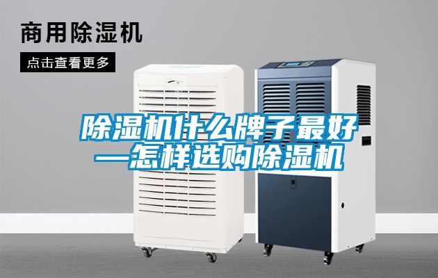 茄子视频懂你更多在线观看什么牌子最好—怎样选购茄子视频懂你更多在线观看