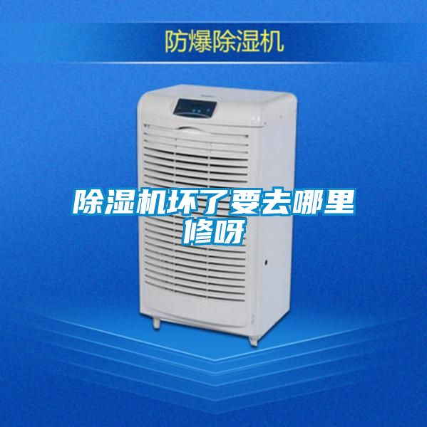 茄子视频懂你更多在线观看坏了要去哪里修呀