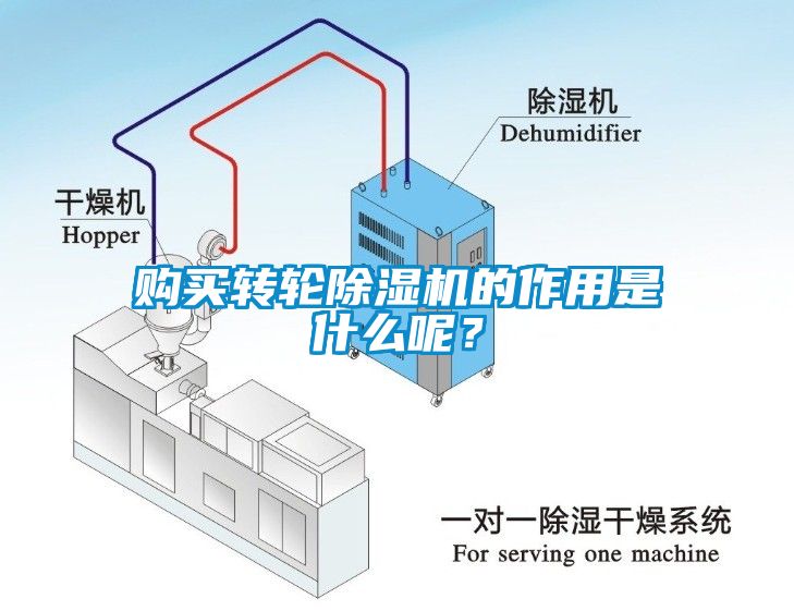购买转轮茄子视频懂你更多在线观看的作用是什么呢？