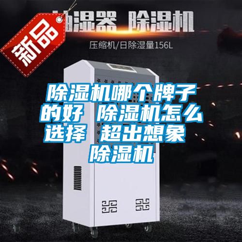 茄子视频懂你更多在线观看哪个牌子的好 茄子视频懂你更多在线观看怎么选择 超出想象 茄子视频懂你更多在线观看