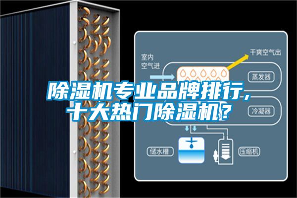茄子视频懂你更多在线观看专业品牌排行,十大热门茄子视频懂你更多在线观看？