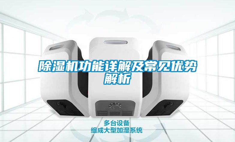 茄子视频懂你更多在线观看功能详解及常见优势解析