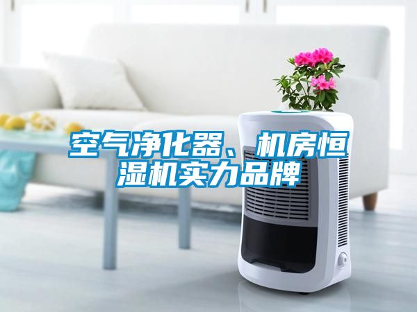 空气净化器、机房恒湿机实力品牌