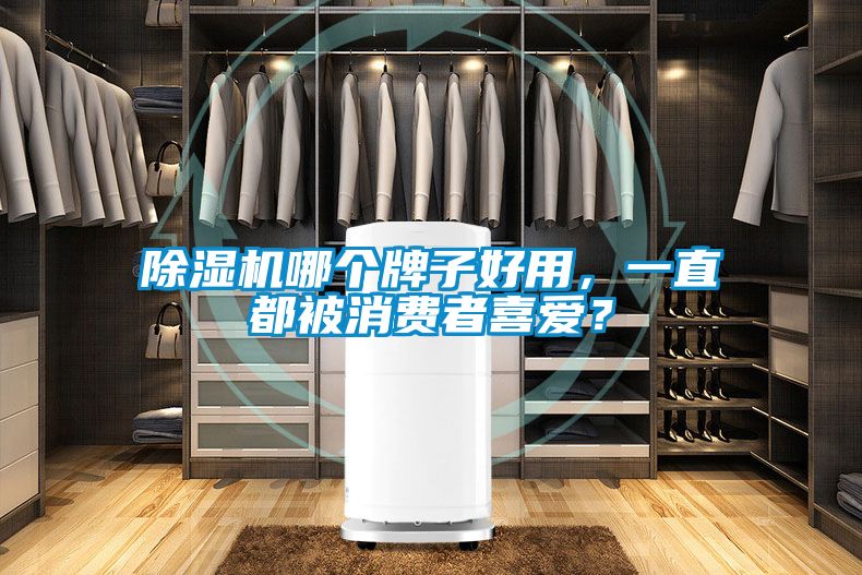 茄子视频懂你更多在线观看哪个牌子好用，一直都被消费者喜爱？