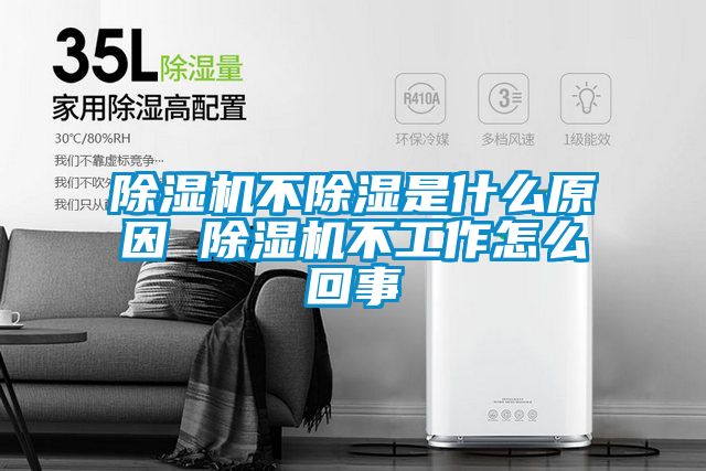 茄子视频懂你更多在线观看不除湿是什么原因 茄子视频懂你更多在线观看不工作怎么回事