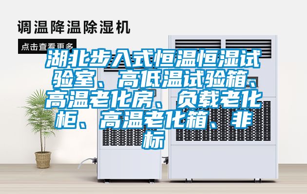 湖北步入式恒温恒湿试验室、高低温试验箱、高温老化房、负载老化柜、高温老化箱、非标