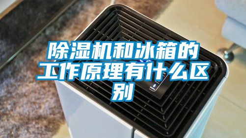 茄子视频懂你更多在线观看和冰箱的工作原理有什么区别