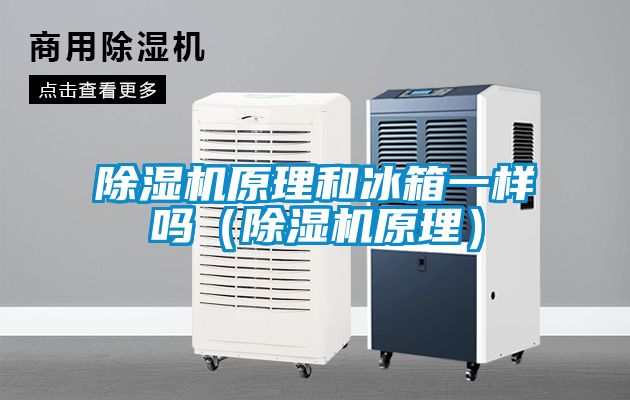 茄子视频懂你更多在线观看原理和冰箱一样吗（茄子视频懂你更多在线观看原理）
