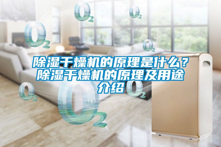 除湿干燥机的原理是什么？除湿干燥机的原理及用途介绍