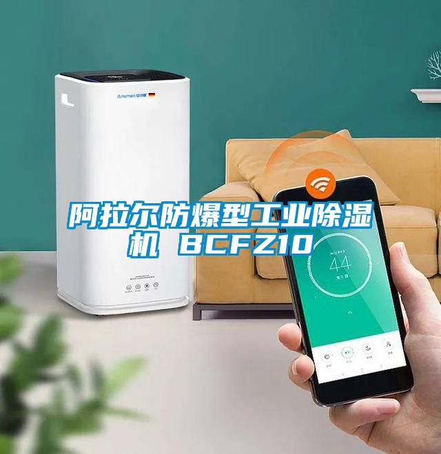阿拉尔防爆型工业茄子视频懂你更多在线观看 BCFZ10