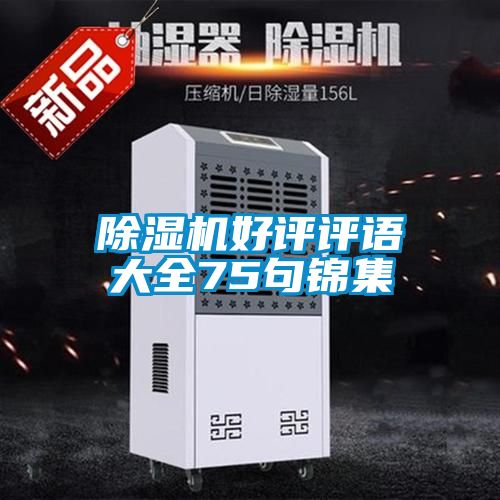 茄子视频懂你更多在线观看好评评语大全75句锦集