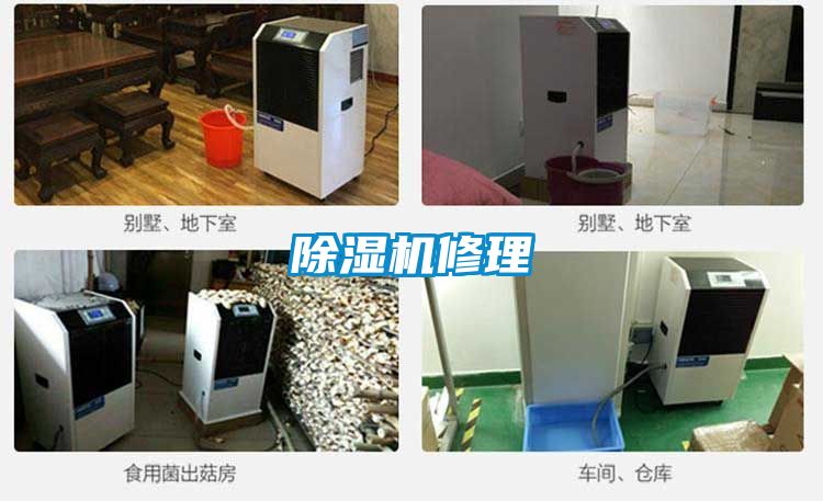 茄子视频懂你更多在线观看修理