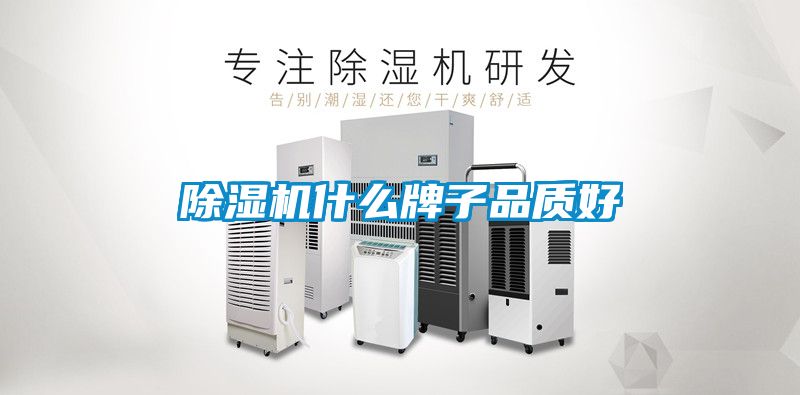 茄子视频懂你更多在线观看什么牌子品质好