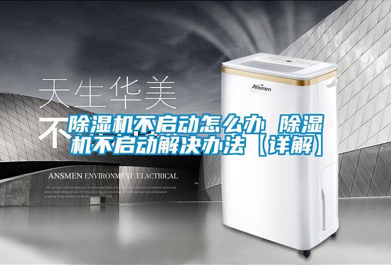 茄子视频懂你更多在线观看不启动怎么办 茄子视频懂你更多在线观看不启动解决办法【详解】