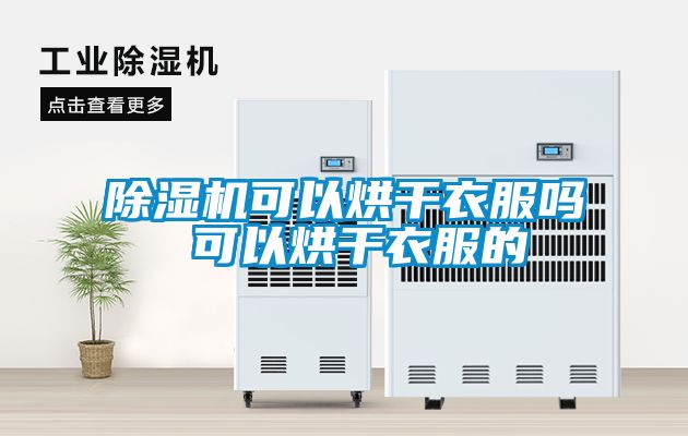 茄子视频懂你更多在线观看可以烘干衣服吗 可以烘干衣服的
