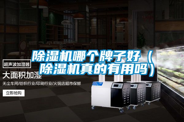 茄子视频懂你更多在线观看哪个牌子好（ 茄子视频懂你更多在线观看真的有用吗）