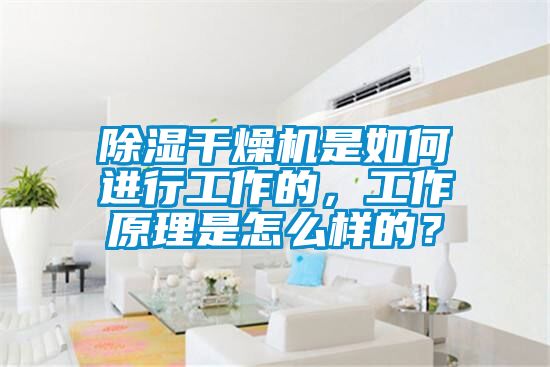 除湿干燥机是如何进行工作的，工作原理是怎么样的？