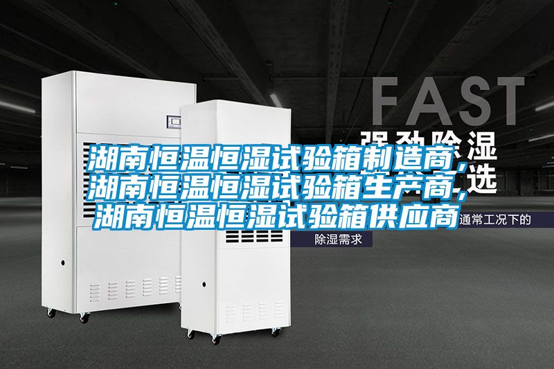 湖南恒温恒湿试验箱制造商，湖南恒温恒湿试验箱生产商，湖南恒温恒湿试验箱供应商