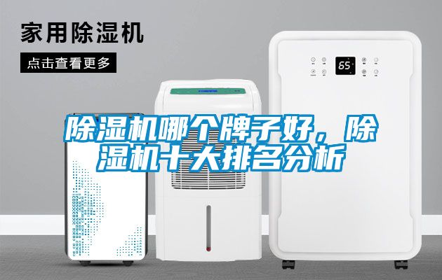 茄子视频懂你更多在线观看哪个牌子好，茄子视频懂你更多在线观看十大排名分析