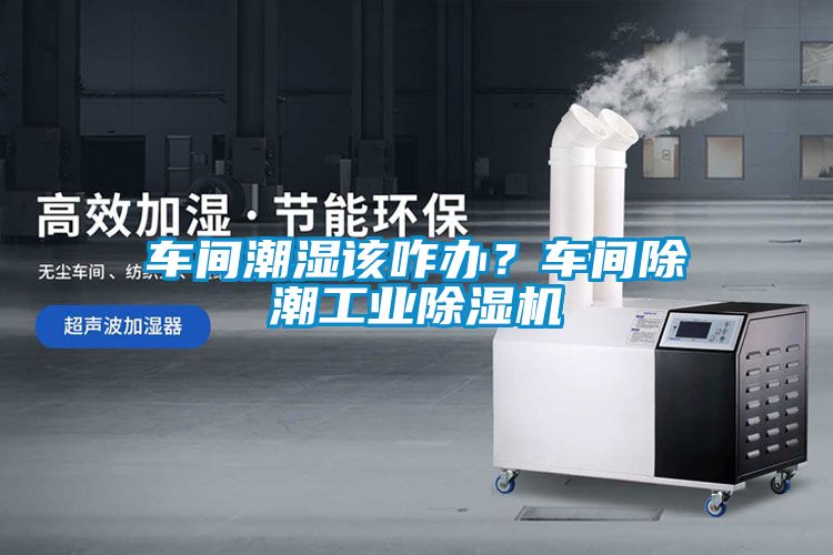 车间潮湿该咋办？车间除潮工业茄子视频懂你更多在线观看