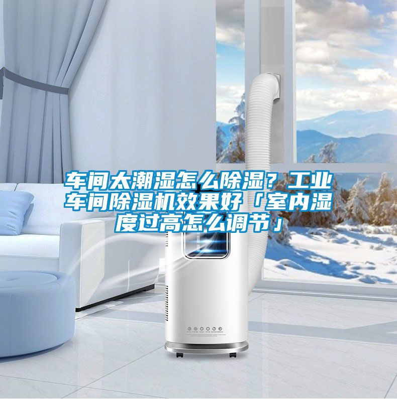 车间太潮湿怎么除湿？工业车间茄子视频懂你更多在线观看效果好「室内湿度过高怎么调节」