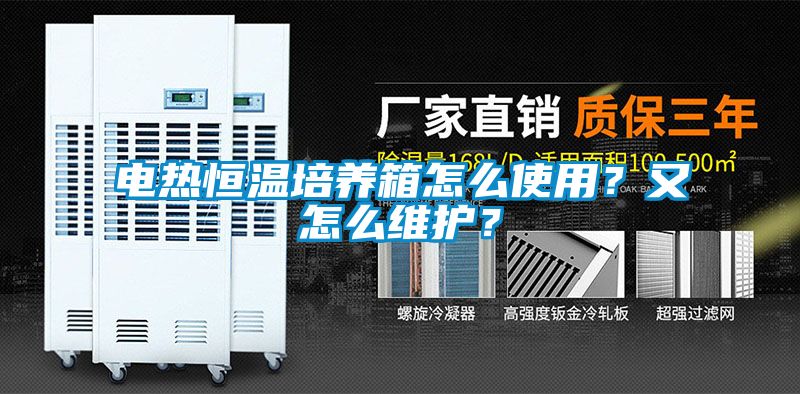 电热恒温培养箱怎么使用？又怎么维护？
