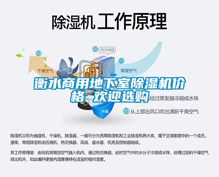 衡水商用地下室茄子视频懂你更多在线观看价格 欢迎选购