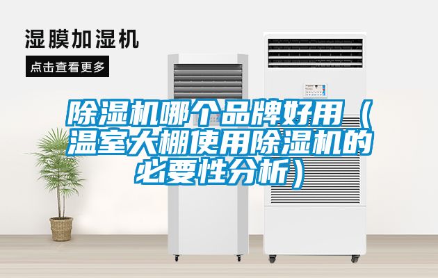 茄子视频懂你更多在线观看哪个品牌好用（温室大棚使用茄子视频懂你更多在线观看的必要性分析）