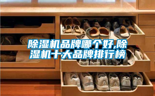 茄子视频懂你更多在线观看品牌哪个好,茄子视频懂你更多在线观看十大品牌排行榜